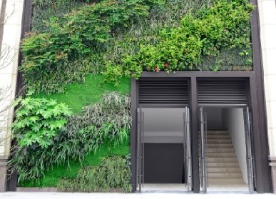 门头垂直绿化植物墙