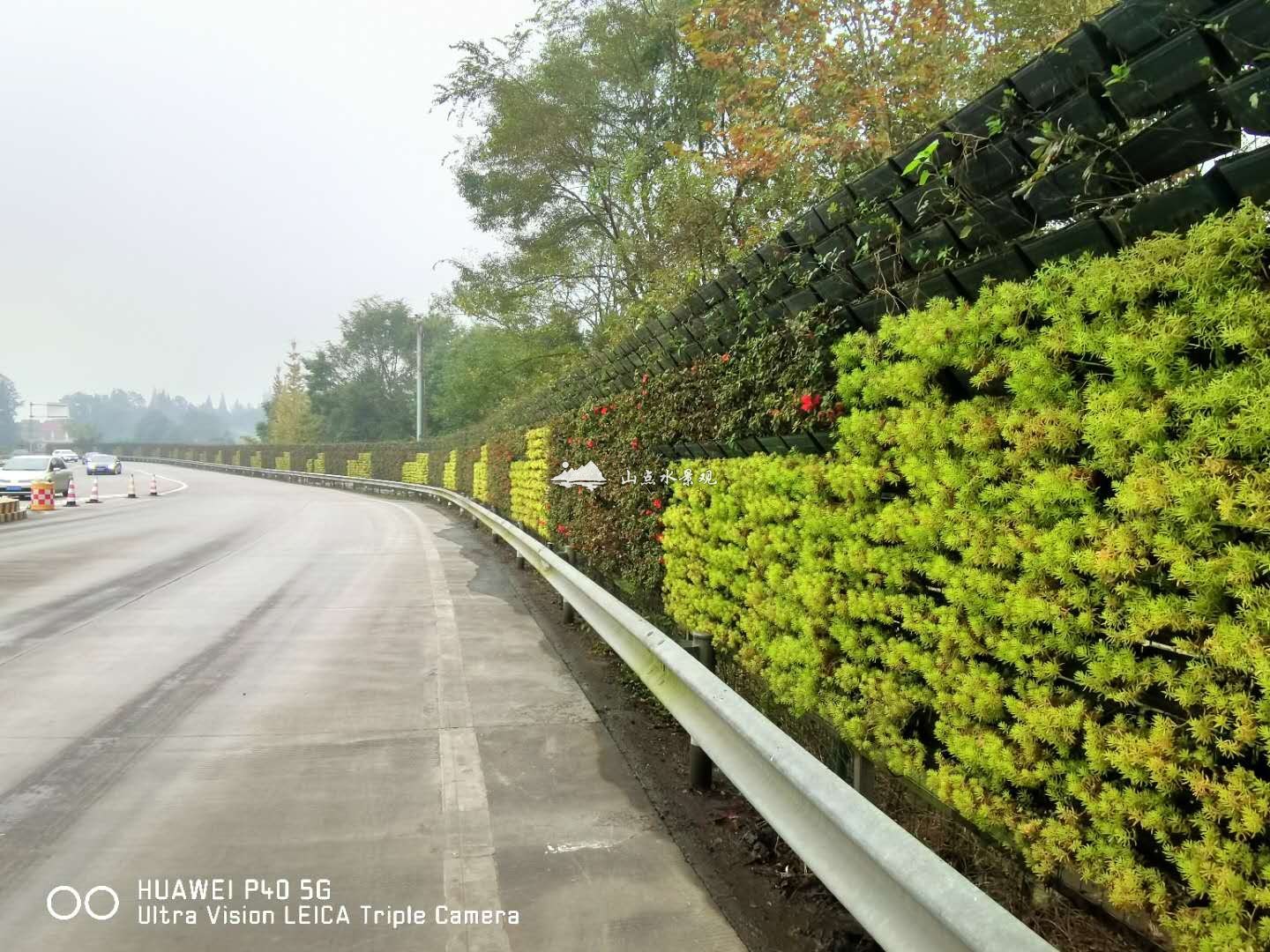 高速公路垂直绿化
