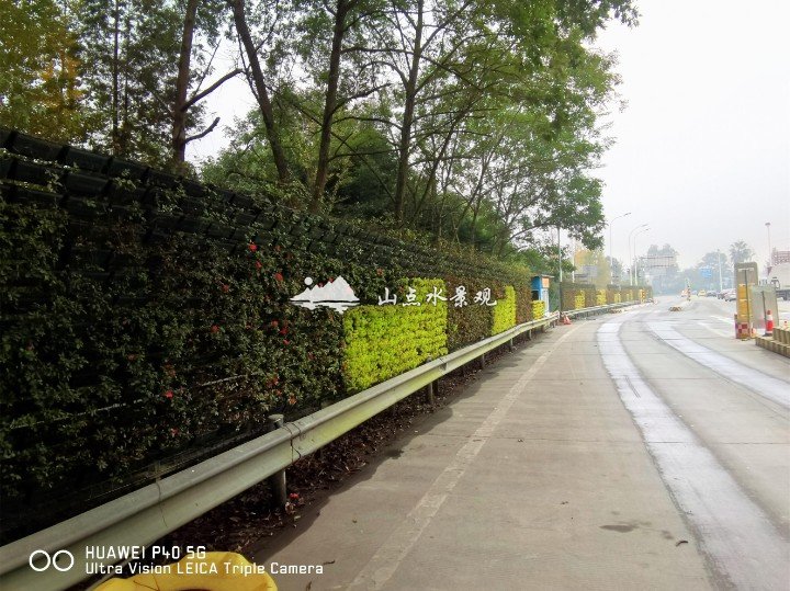 高速公路出入口垂直绿化植物墙景观
