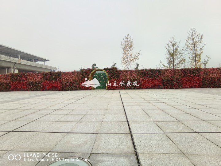 高铁站前鲜花垂直绿化植物墙案例