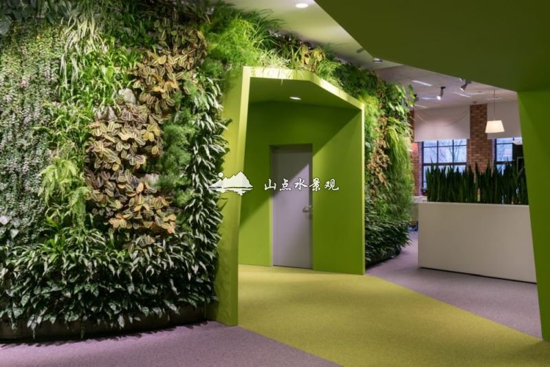 办公室植物墙案例