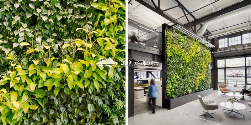办公室植物墙案例