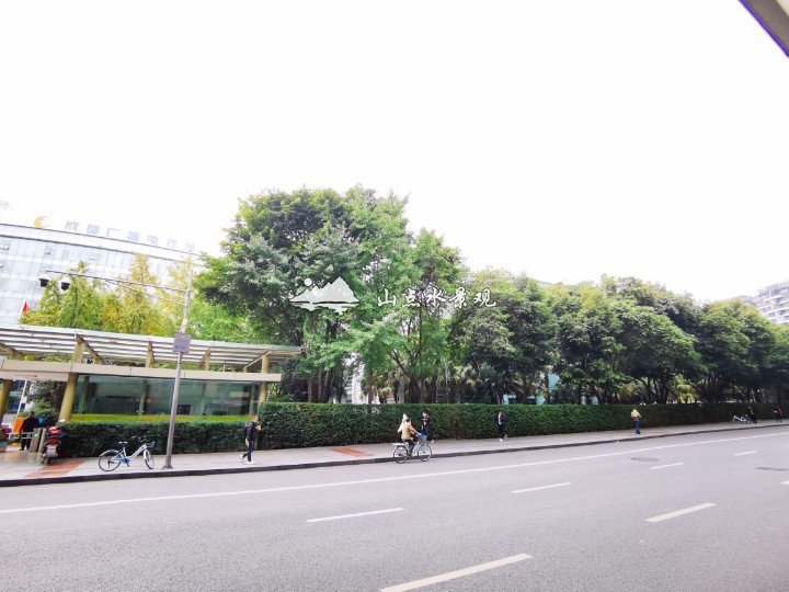 广播电视台外围墙体绿化，围墙垂直绿化