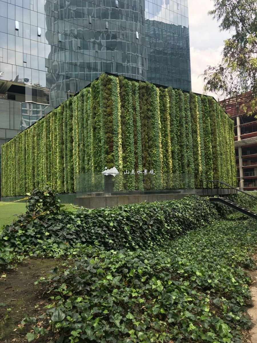 户外艺术植物墙