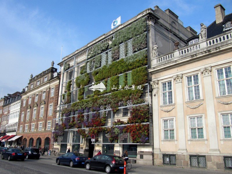 户外建筑植物墙