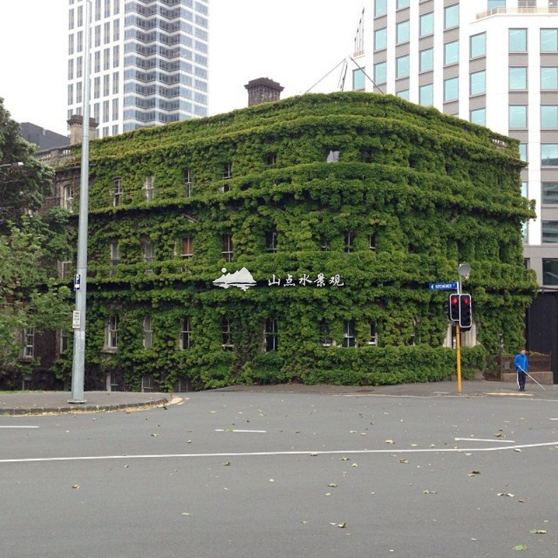 户外建筑植物墙