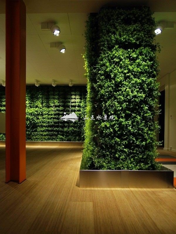 室内植物墙装饰