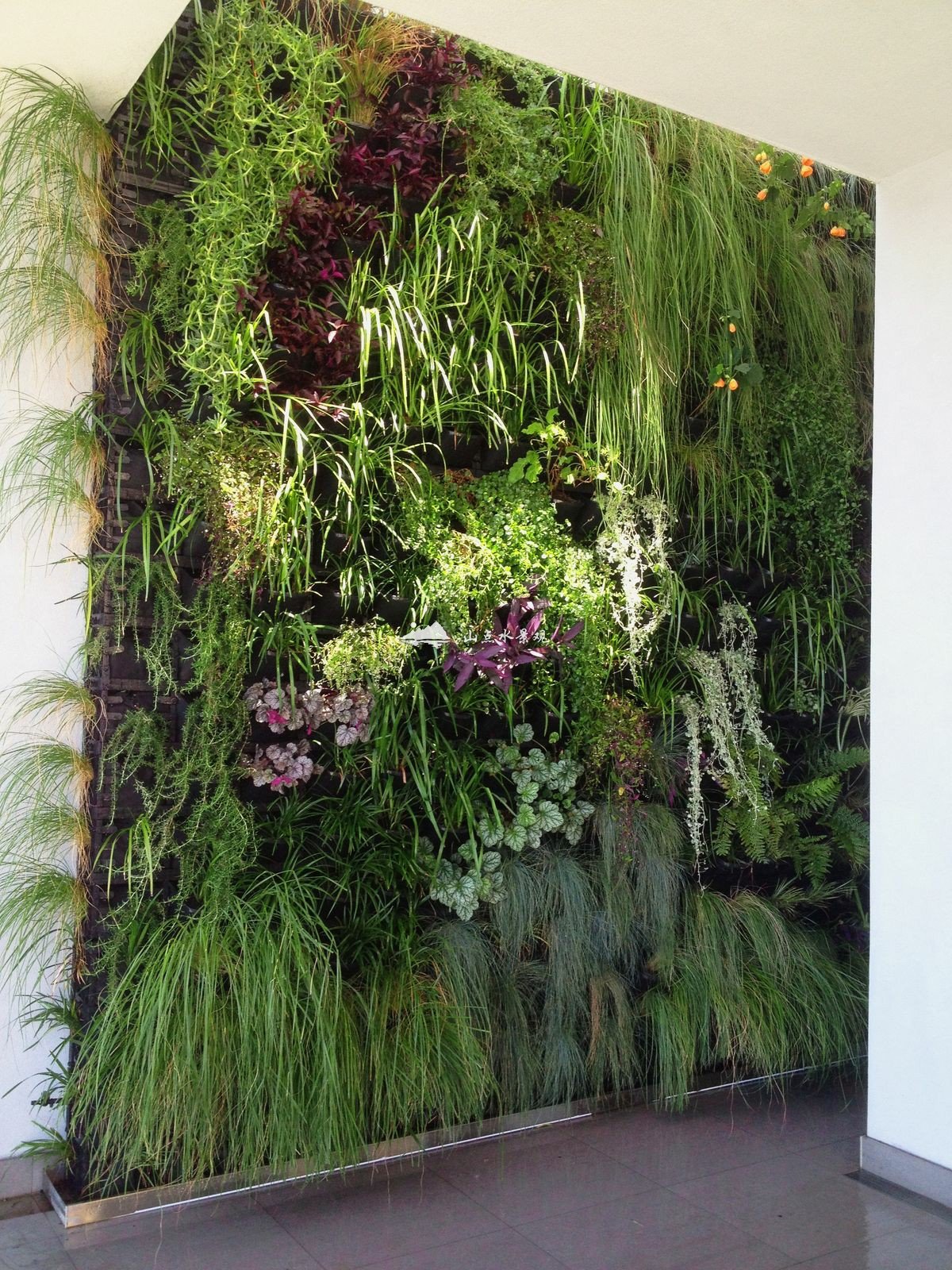 室内植物墙装饰