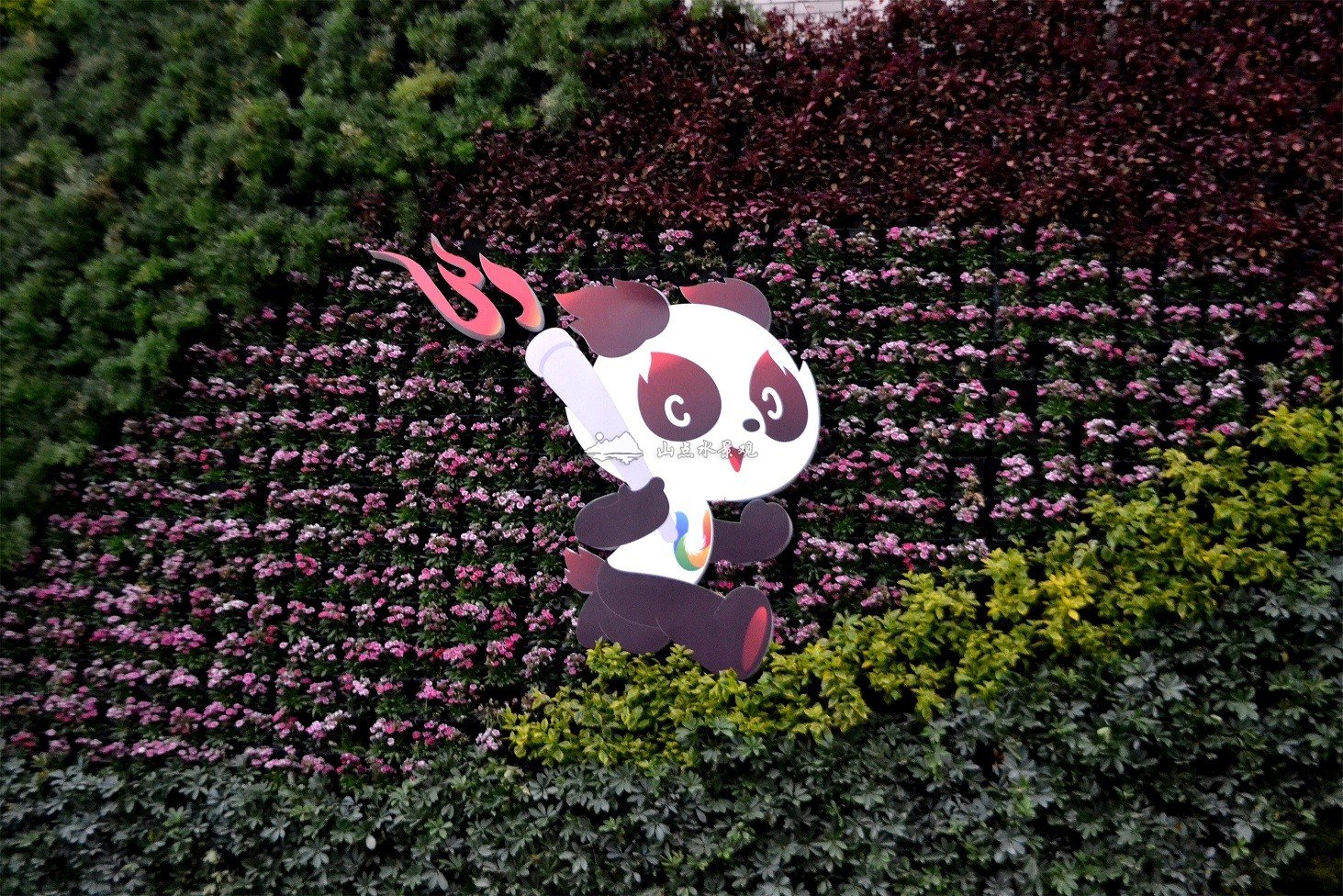 城市街道景观提升垂直绿化