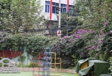 幼儿园墙体绿化