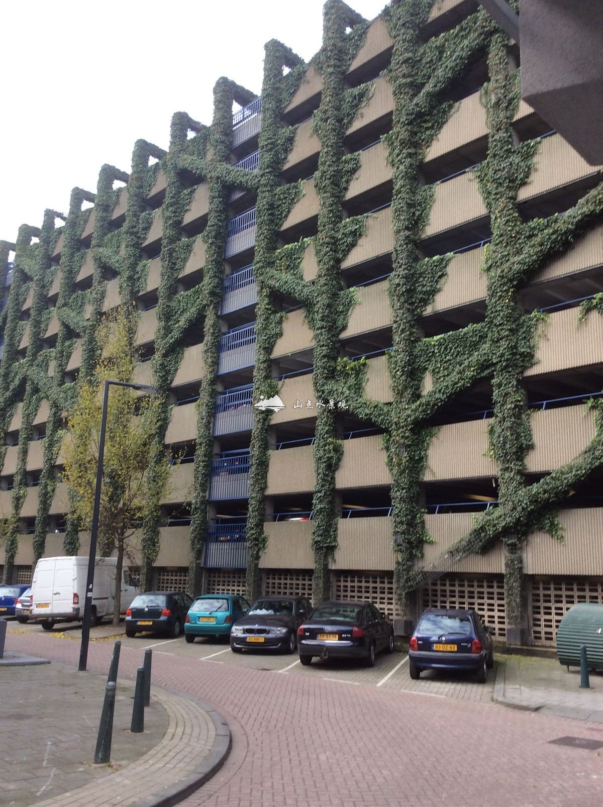 商业建筑垂直绿化