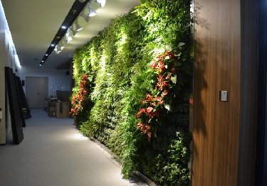 研究院室内垂直绿化景观