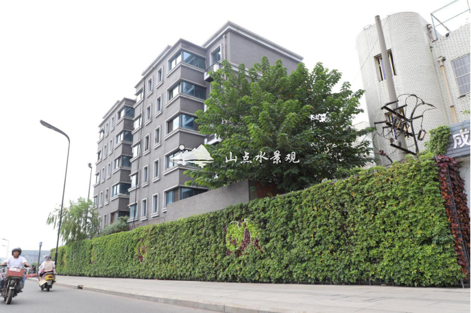 市政建筑围墙垂直绿化景观（熊猫造型）