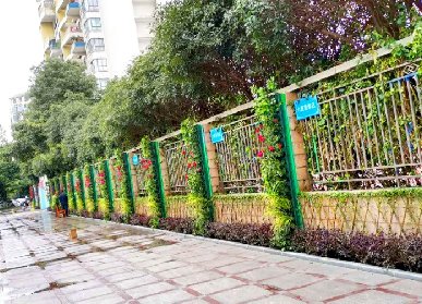 小学围墙立体绿化