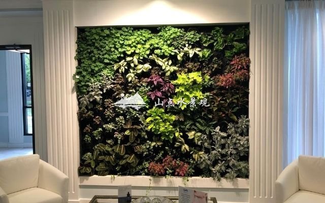 室内植物墙：10个家庭室内垂直绿化景观案例