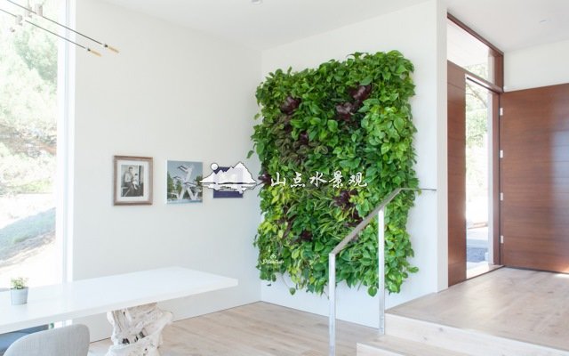家庭室内垂直绿化