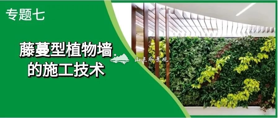 专题七|藤蔓型植物墙的施工技术