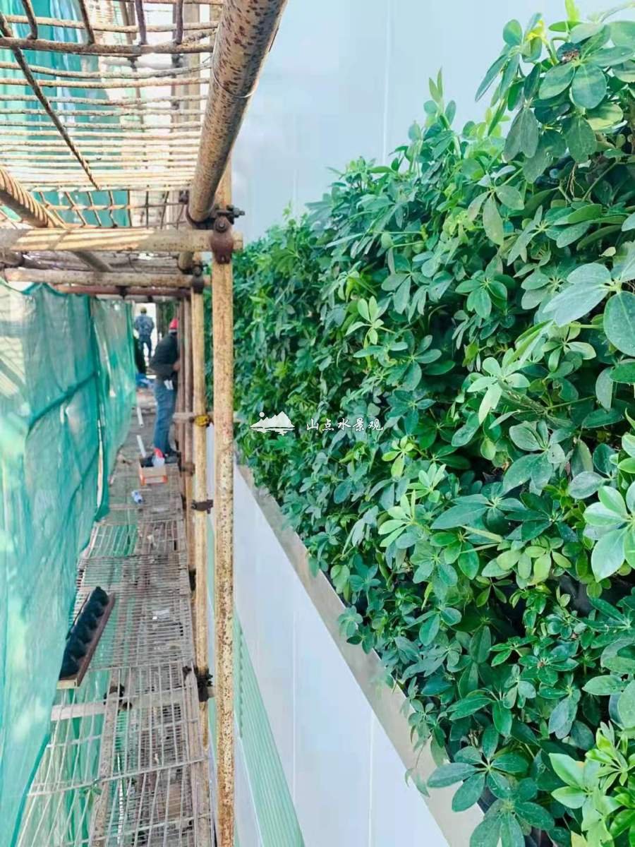 立体停车场垂直绿化施工中
