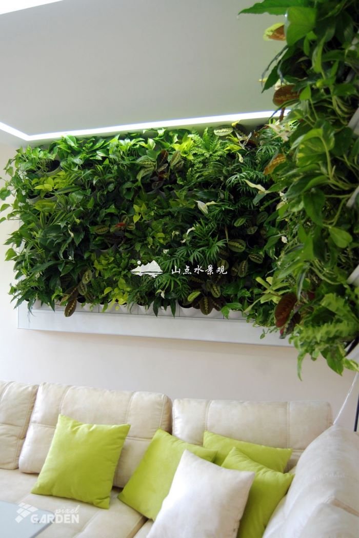 室内自制植物墙