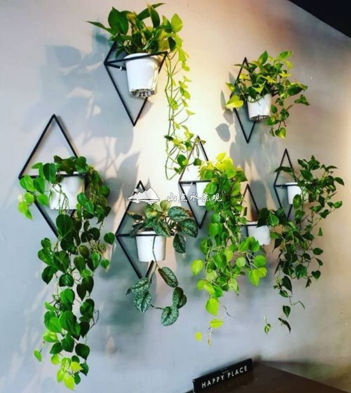 室内自制植物墙