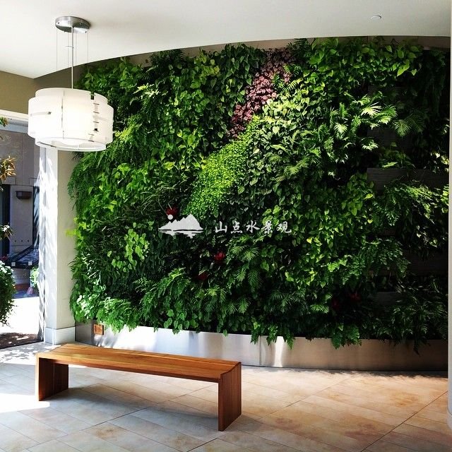 弧形垂直绿化植物墙