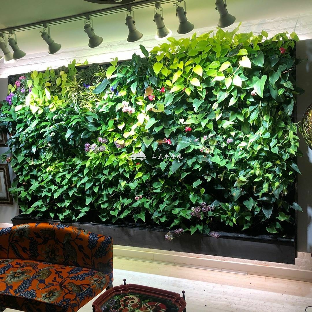 办公室大型绿植背景形象墙