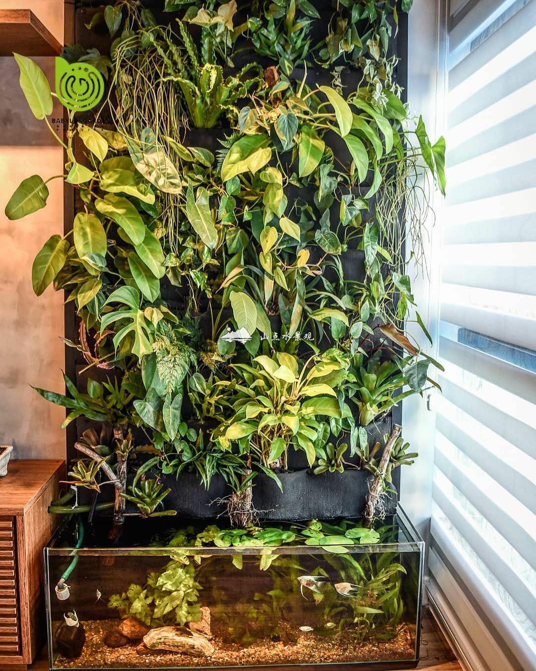 室内植物与鱼共生植物墙