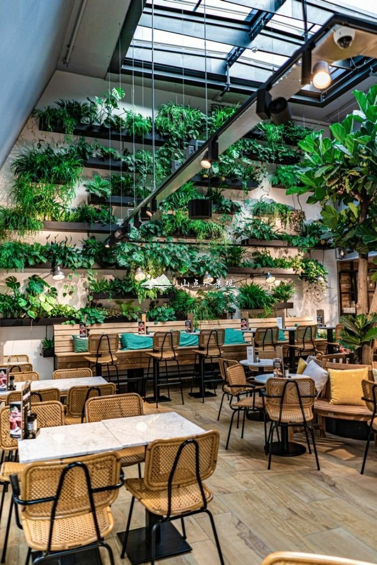 餐厅室内植物上墙景观，垂直绿化造景案例