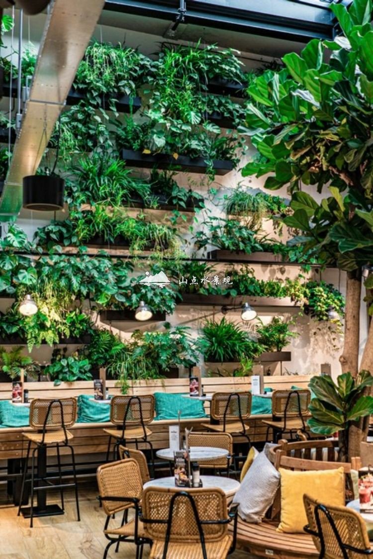 餐厅室内植物上墙景观