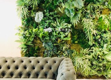 沙发背景苔藓仿真植物墙