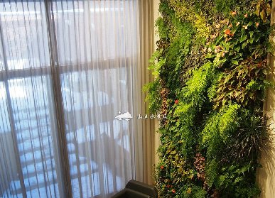客厅大型植物墙