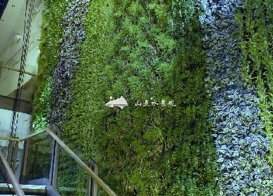 步梯旁植物墙