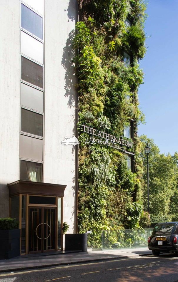 酒店门口垂直绿化植物墙