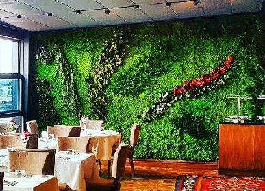 酒店苔藓植物墙背景墙