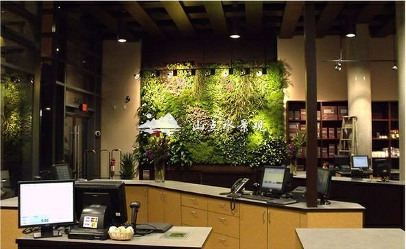 办公室室内办公区垂直花园植物墙景观