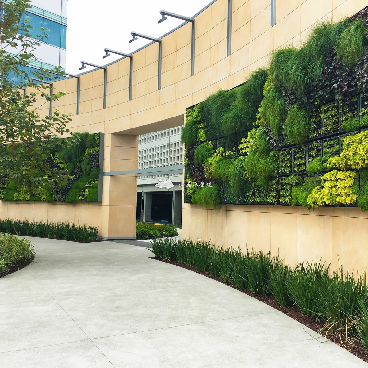 学校入口围墙垂直绿化植物墙景观