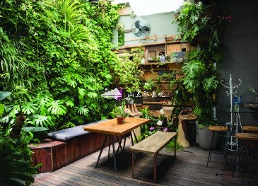 生态餐厅植物墙