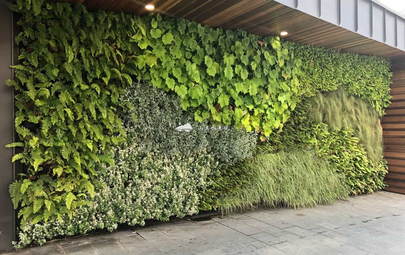 商业植物墙_商综门面外墙垂直绿化景观