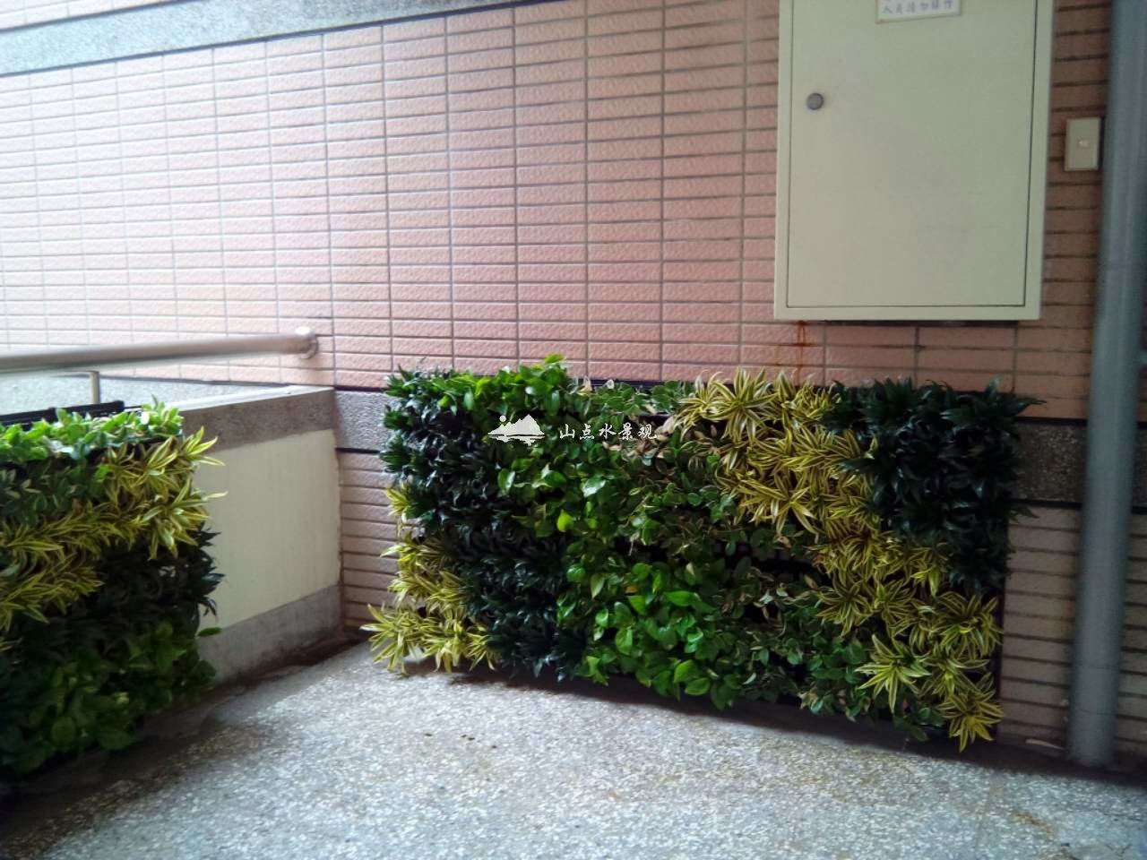 大学走廊植物墙_教学楼通道垂直绿化景观