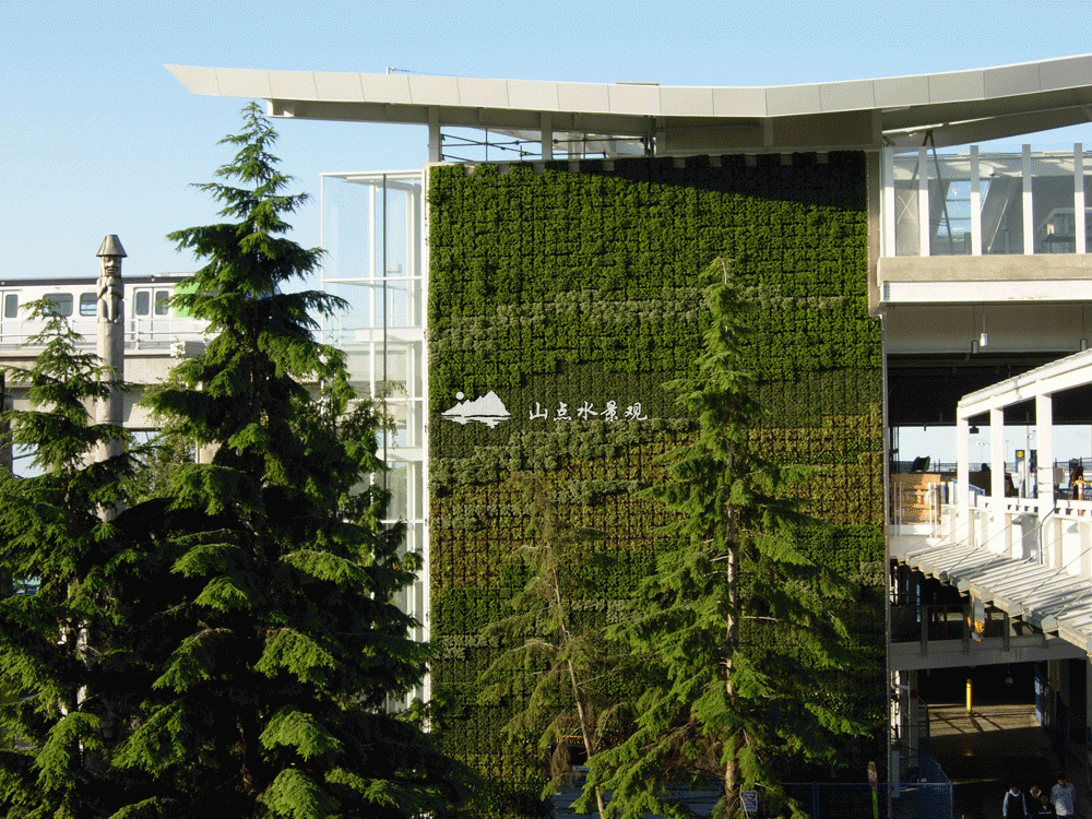 建筑外墙植物墙
