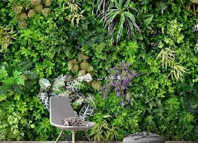 家居植物墙