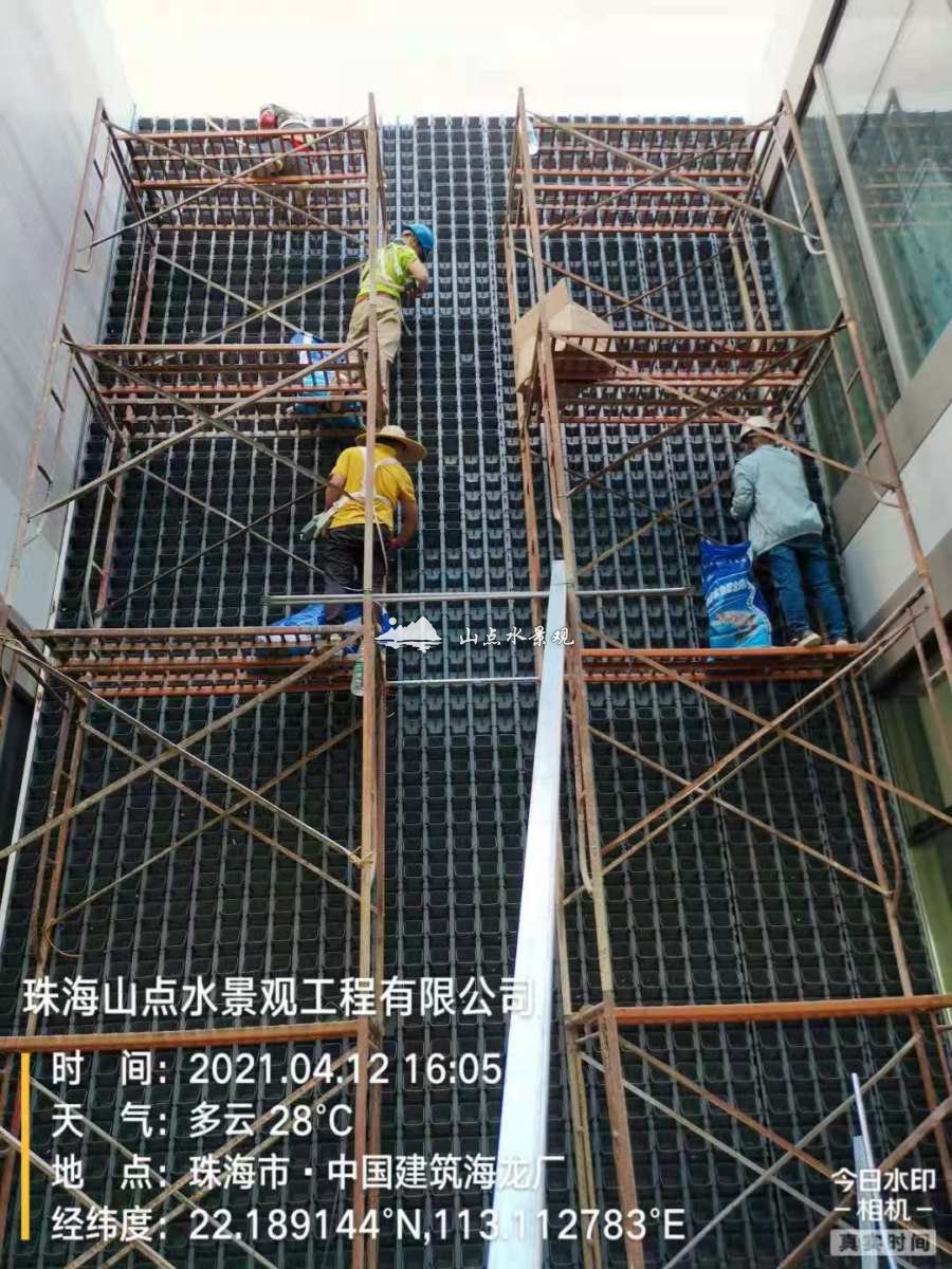 中国建筑海龙厂垂直绿化