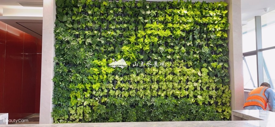 前台植物墙_办公室室内前台背景形象墙