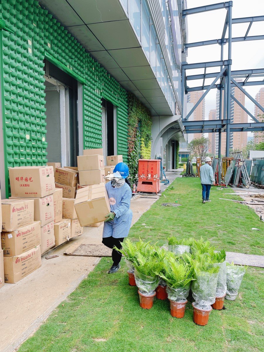 横琴南光大厦入口门头垂直绿化景观