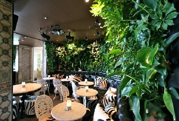 厦门室内植物墙