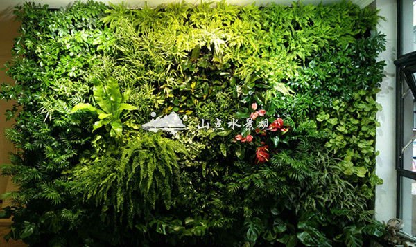 室内植物墙3种主流做法，天然氧吧养成记