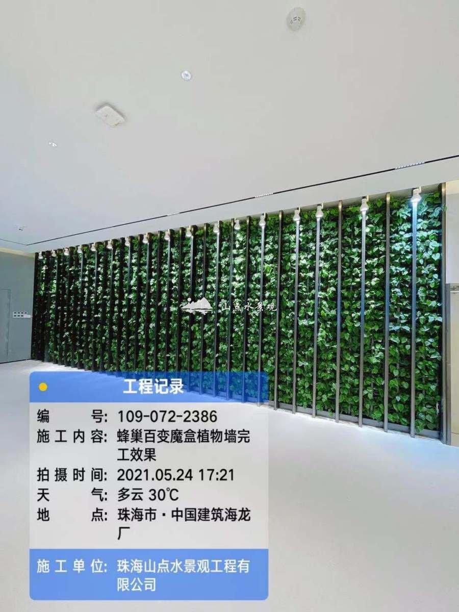 中国建筑海龙厂垂直绿化
