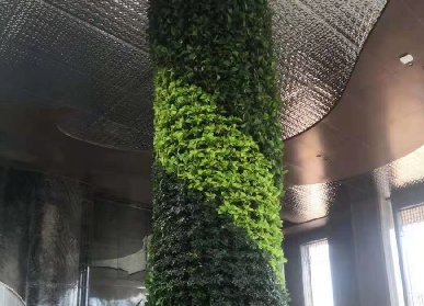 室内包柱子植物墙