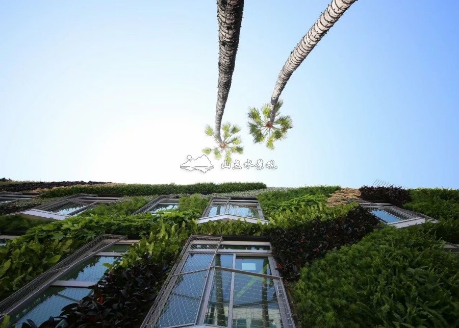 建筑外墙绿化，小区室外垂直绿化景观