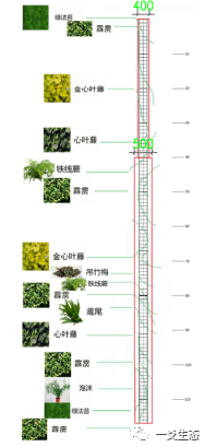 柱式垂直绿化，神奇的热带丛林